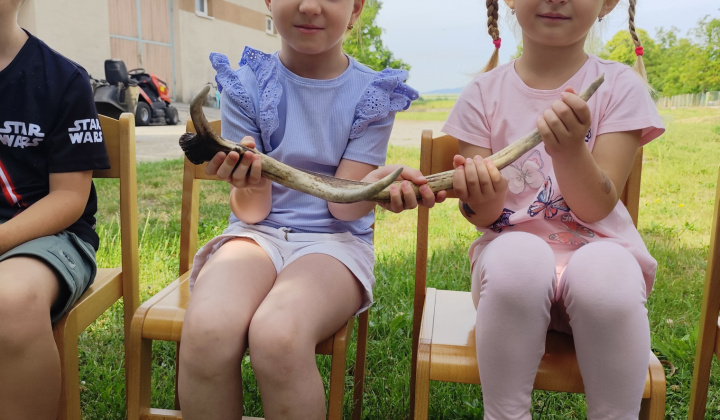 4. fotografia fotogalérie Privítali sme lesnú pedagogičku 